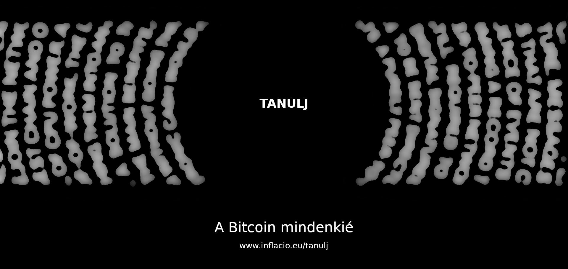 tanulj